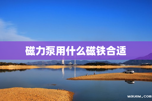 磁力泵用什么磁铁合适 磁力泵用什么磁铁合适