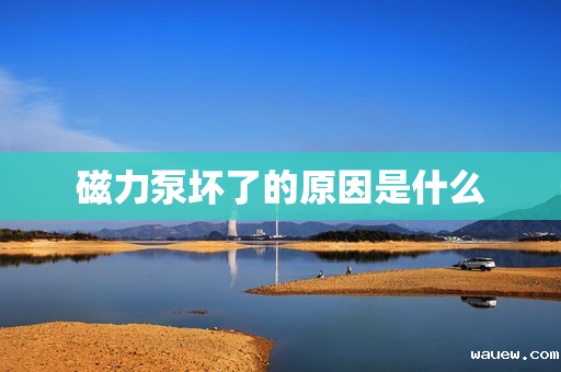 磁力泵坏了的原因是什么 磁力泵坏了的原因是什么