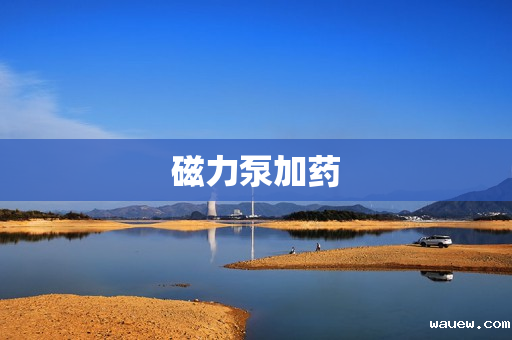 磁力泵加药 磁力泵加药