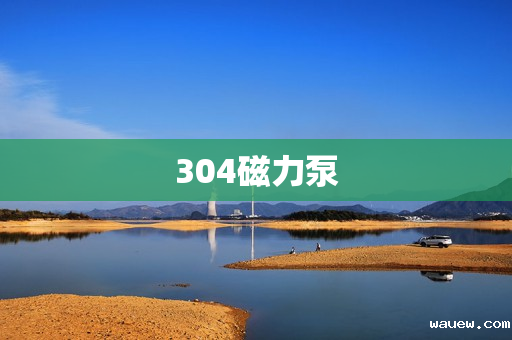 304磁力泵 304磁力泵