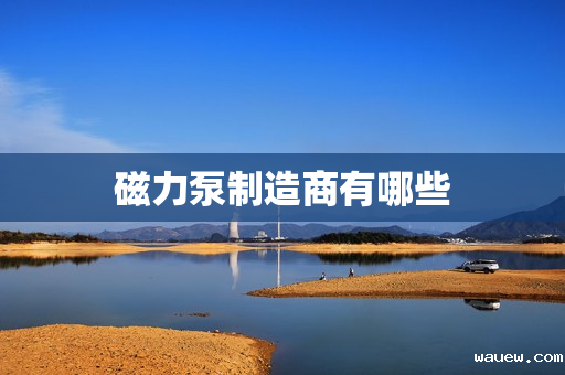 磁力泵制造商有哪些 磁力泵制造商有哪些