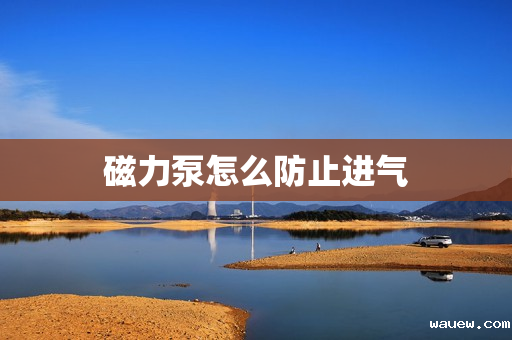 磁力泵怎么防止进气 磁力泵怎么防止进气