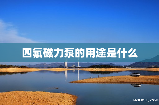 四氟磁力泵的用途是什么 四氟磁力泵的用途是什么