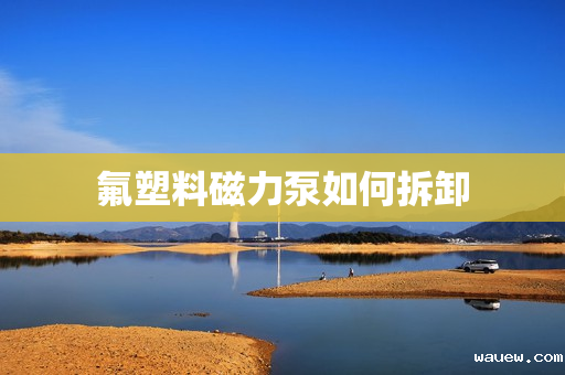 氟塑料磁力泵如何拆卸 氟塑料磁力泵如何拆卸