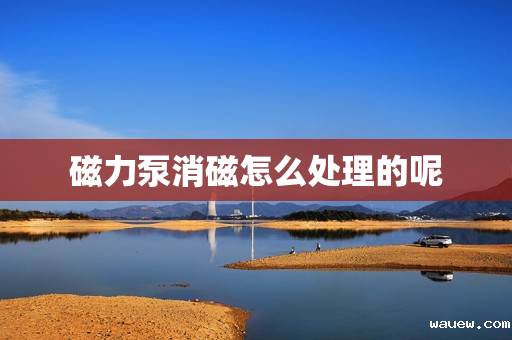 磁力泵消磁怎么处理的呢 磁力泵消磁怎么处理的呢
