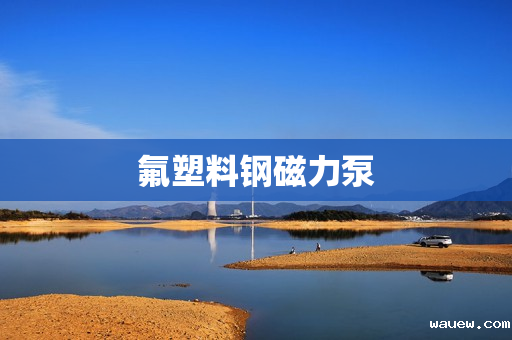 氟塑料钢磁力泵 氟塑料钢磁力泵