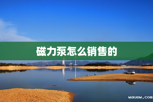 磁力泵怎么销售的 磁力泵怎么销售的