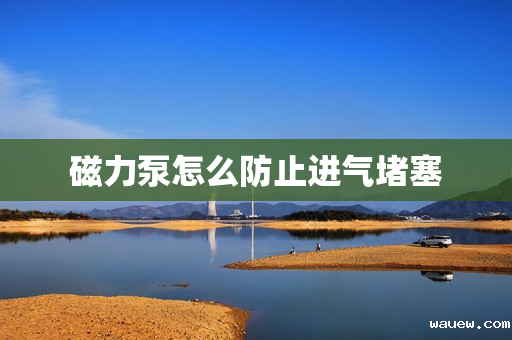 磁力泵怎么防止进气堵塞 磁力泵怎么防止进气堵塞