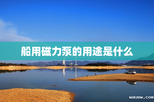 船用磁力泵的用途是什么 船用磁力泵的用途是什么