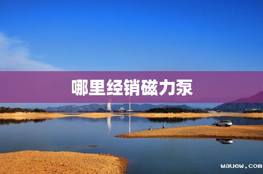 哪里经销磁力泵 哪里经销磁力泵