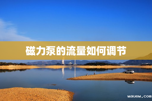 磁力泵的流量如何调节 磁力泵的流量如何调节