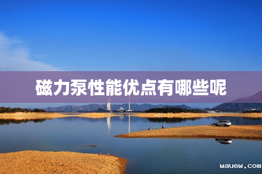 磁力泵性能优点有哪些呢 磁力泵性能优点有哪些呢