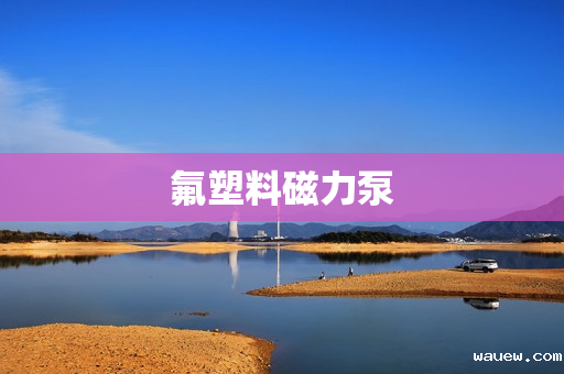 氟塑料磁力泵 氟塑料磁力泵