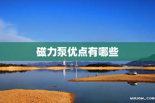 磁力泵优点有哪些 磁力泵优点有哪些