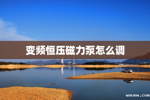 变频恒压磁力泵怎么调 变频恒压磁力泵怎么调