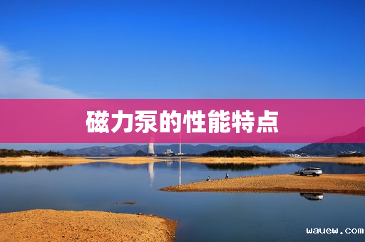 磁力泵的性能特点 磁力泵的性能特点