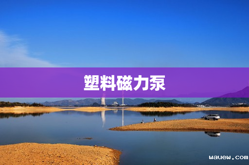 塑料磁力泵 塑料磁力泵