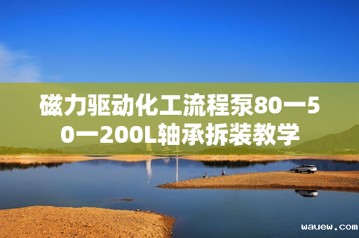 磁力驱动化工流程泵80一50一200L轴承拆装教学 磁力驱动化工流程泵80一50一200L轴承拆装教学