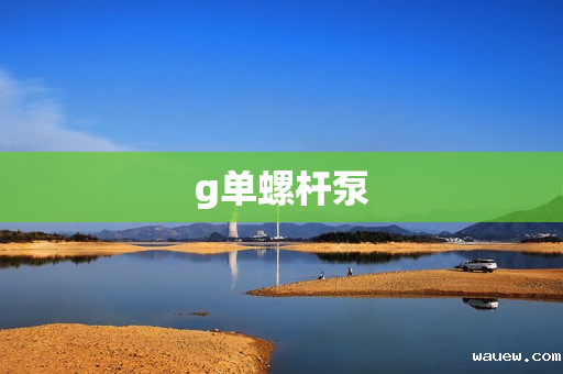 g单螺杆泵 g单螺杆泵