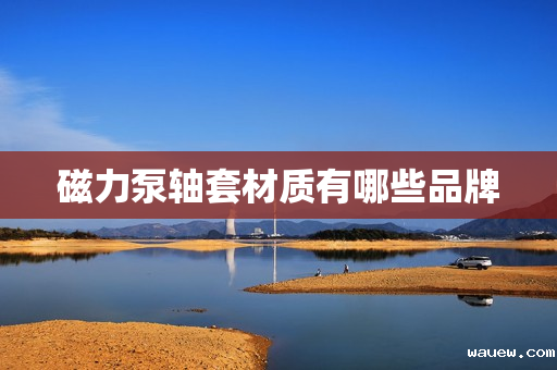 磁力泵轴套材质有哪些品牌 磁力泵轴套材质有哪些品牌