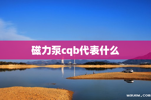 磁力泵cqb代表什么 磁力泵cqb代表什么