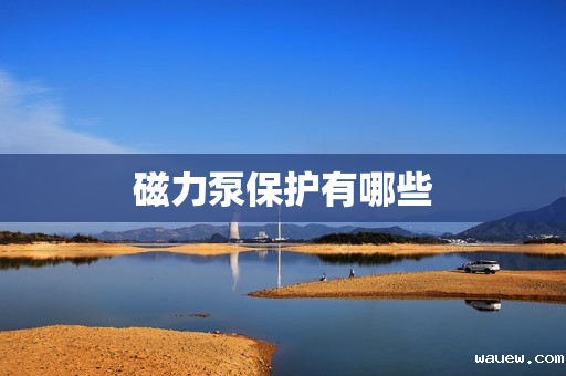 磁力泵保护有哪些 磁力泵保护有哪些