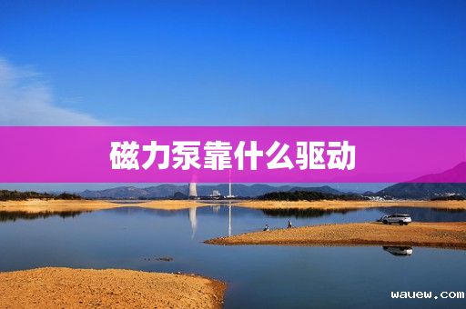 磁力泵靠什么驱动 磁力泵靠什么驱动