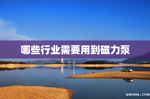 哪些行业需要用到磁力泵 哪些行业需要用到磁力泵