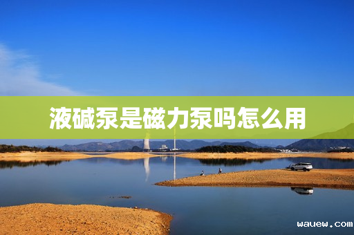 液碱泵是磁力泵吗怎么用 液碱泵是磁力泵吗怎么用