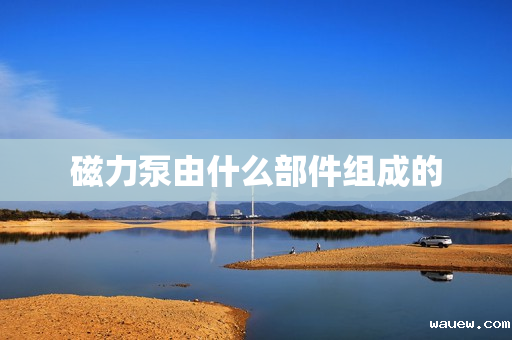 磁力泵由什么部件组成的 磁力泵由什么部件组成的