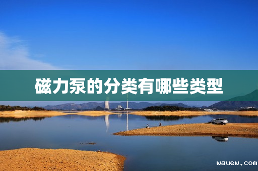 磁力泵的分类有哪些类型 磁力泵的分类有哪些类型