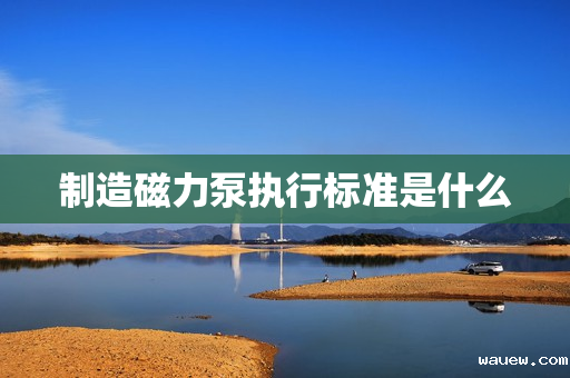 制造磁力泵执行标准是什么 制造磁力泵执行标准是什么