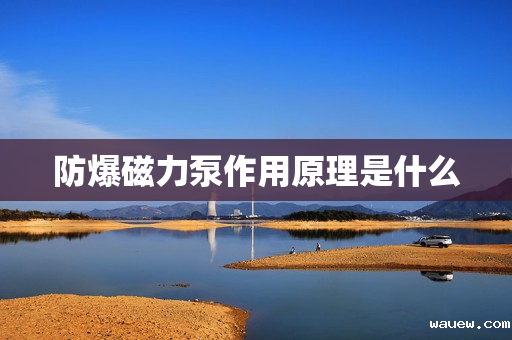 防爆磁力泵作用原理是什么 防爆磁力泵作用原理是什么