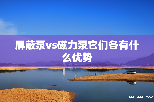 屏蔽泵vs磁力泵它们各有什么优势 屏蔽泵vs磁力泵它们各有什么优势