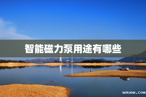 智能磁力泵用途有哪些 智能磁力泵用途有哪些