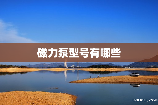 磁力泵型号有哪些 磁力泵型号有哪些