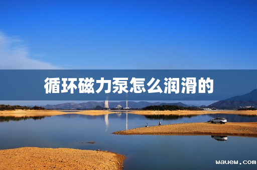 循环磁力泵怎么润滑的 循环磁力泵怎么润滑的