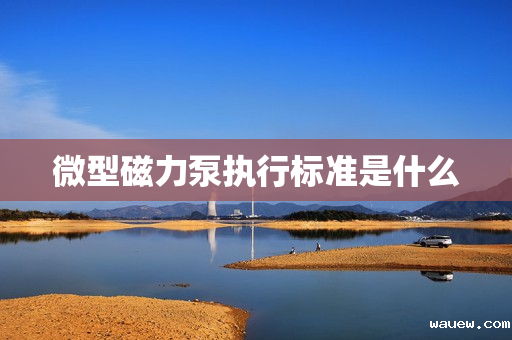 微型磁力泵执行标准是什么 微型磁力泵执行标准是什么