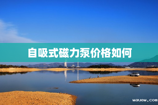 自吸式磁力泵价格如何 自吸式磁力泵价格如何
