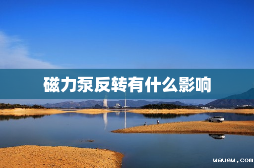 磁力泵反转有什么影响 磁力泵反转有什么影响