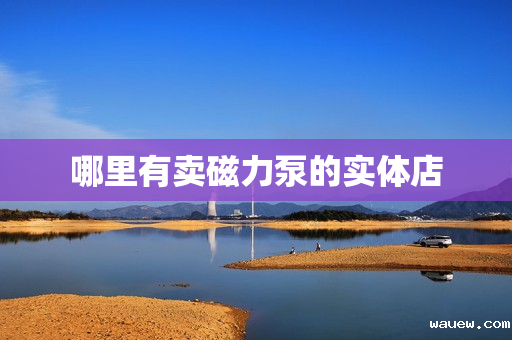 哪里有卖磁力泵的实体店 哪里有卖磁力泵的实体店