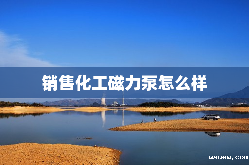 销售化工磁力泵怎么样 销售化工磁力泵怎么样