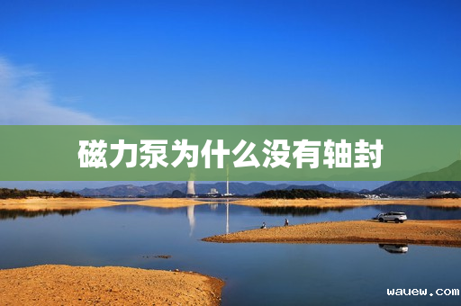 磁力泵为什么没有轴封 磁力泵为什么没有轴封