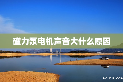 磁力泵电机声音大什么原因 磁力泵电机声音大什么原因