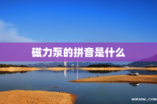 磁力泵的拼音是什么 磁力泵的拼音是什么