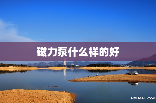 磁力泵什么样的好 磁力泵什么样的好