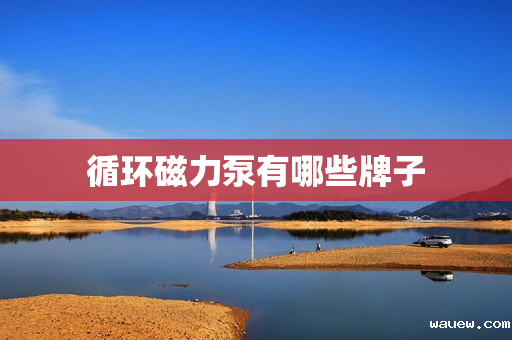 循环磁力泵有哪些牌子 循环磁力泵有哪些牌子