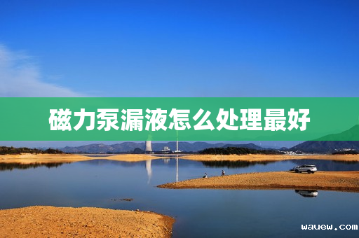 磁力泵漏液怎么处理最好 磁力泵漏液怎么处理最好