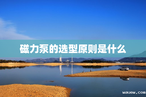 磁力泵的选型原则是什么 磁力泵的选型原则是什么