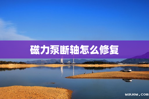 磁力泵断轴怎么修复 磁力泵断轴怎么修复